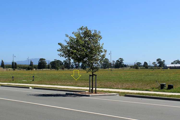 95 Tiritiri Moana Drive Pegasus_7