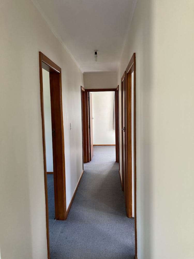 2 Camperdown Road Miramar_6