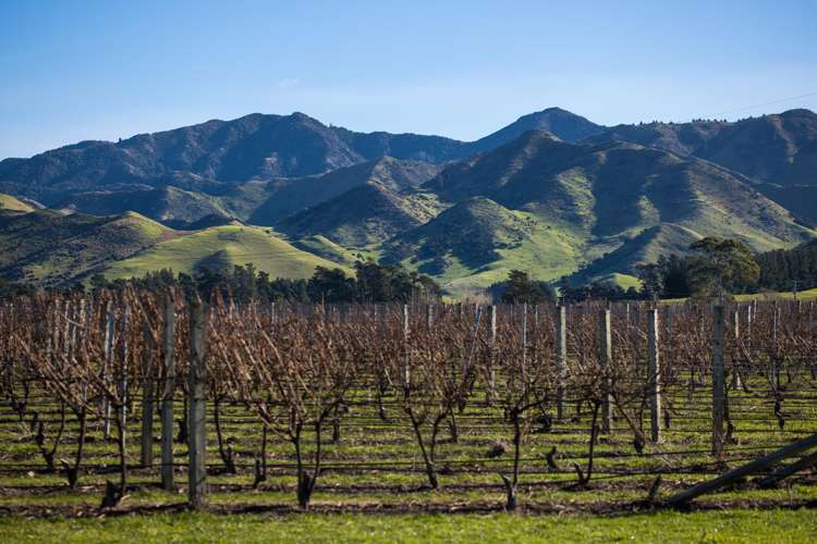 592 Awatere Valley Road Awatere Valley_8