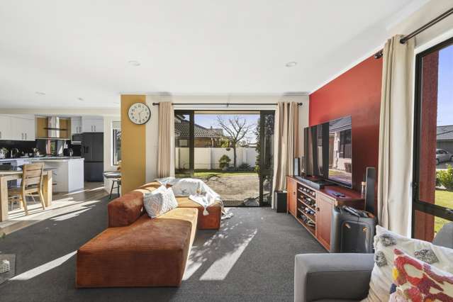 20 Tyree Drive Stoke_2