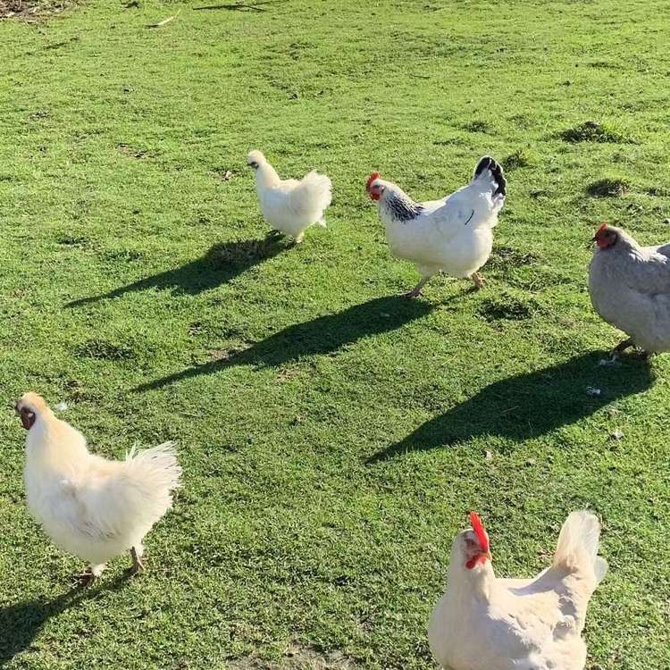 33 Grimsby Grove Wainuiomata_10