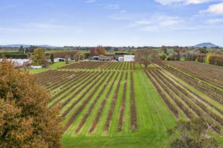 1972 Te Rahu Road Te Awamutu_9