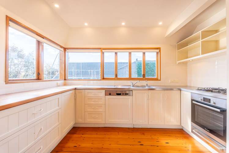 19 Park View Terrace Maori Hill_2