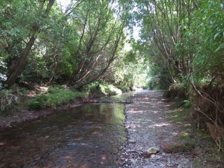 237 Waituna Road Pahiatua_8