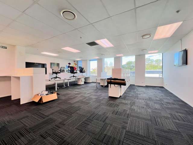 18 Normanby Road Mt Eden_2