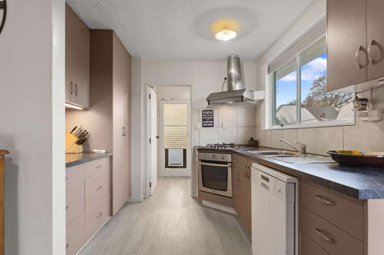 28B Prestons Road Redwood_2
