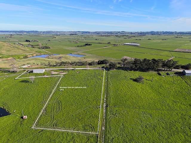 Rural Gem with Shed and Scenic Views