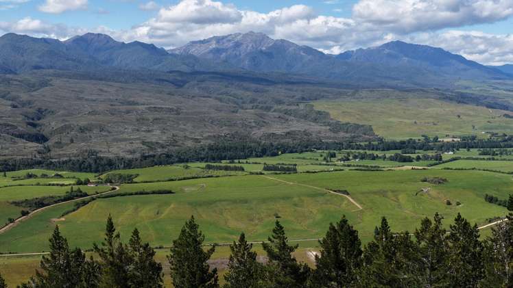 1419 Collingwood-Bainham Main Road Collingwood_18