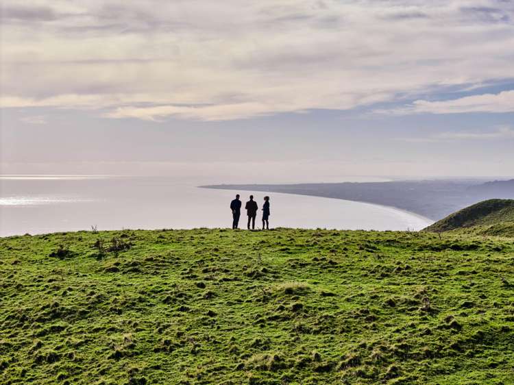 Lot 2,3 and 5/1275 Paekakariki Hill Road Paekakariki Hill_10