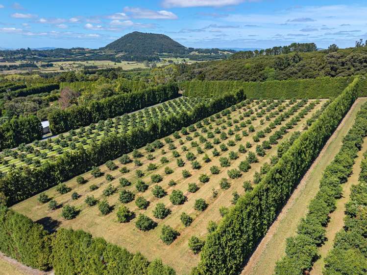 88 Stone Wall Rse Maungatapere_18