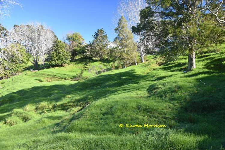 330 Franklin Road Paparoa_32