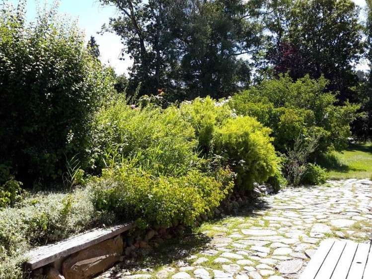 26 Oughter Street Naseby_10