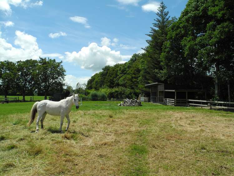 1/1449 Arapuni Road Parawera_13