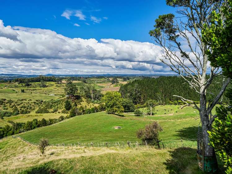 372f Wairoa Road Wairoa_42