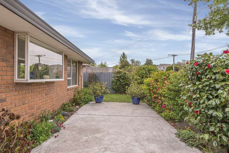 1/5a Rossiter Avenue Redwood_13