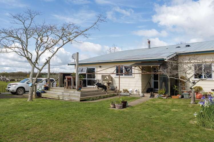 180 Cameron Road Morrinsville_14