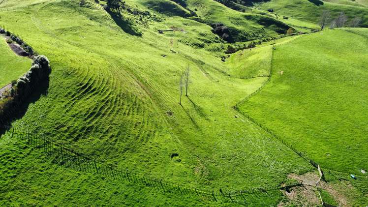 336 Dominion Road Tuakau_7