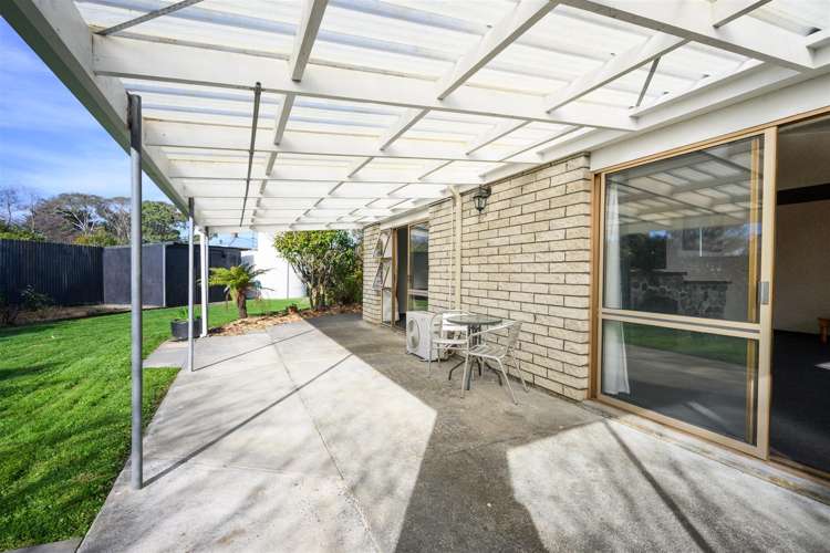 6 Flower Street Bulls_24