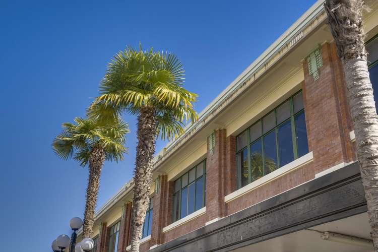 Suite T-X, 7 Market Street Napier South_13