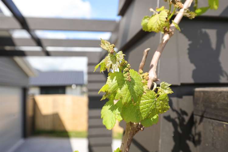 8 Fernbird Avenue Te Kauwhata_23