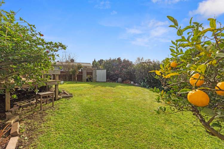 6 Mountbatten Place Te Puke_1