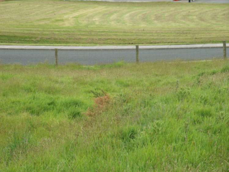 1 Burns Street Owaka_5