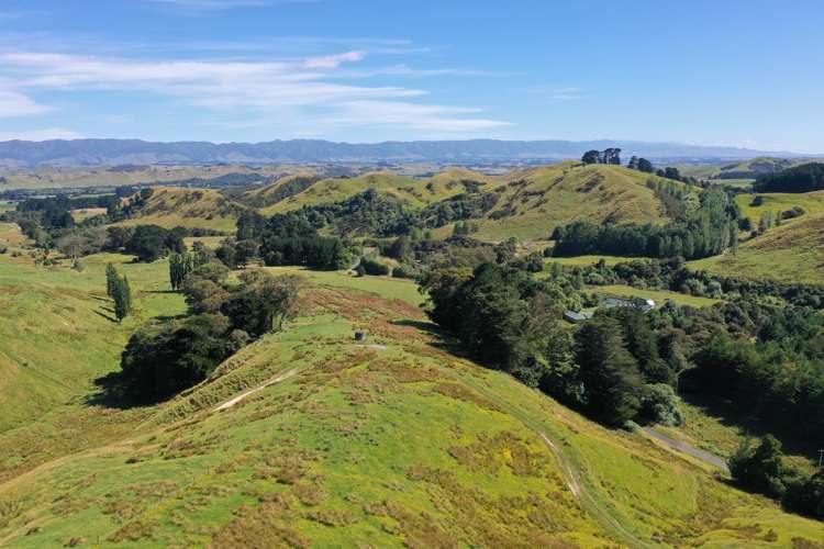 84 Totara Road Kumeroa_3