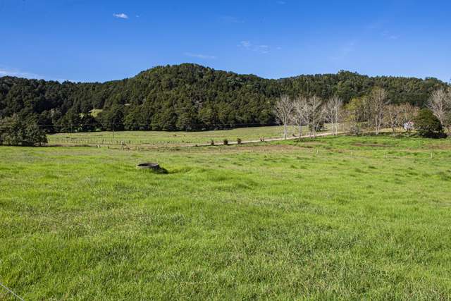 100 Lowe Road Hikurangi_3