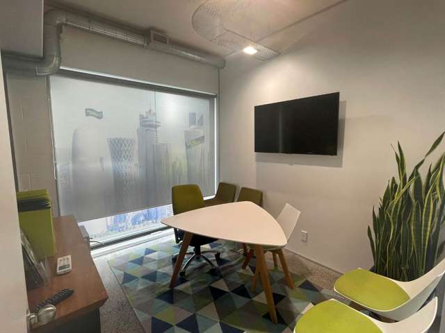 169 Manukau Road Epsom_4