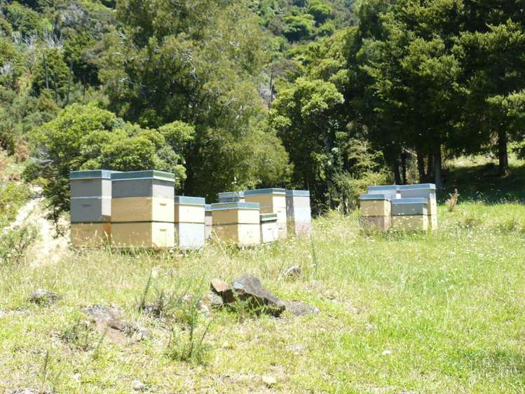 213 Matawherohia Road Kaeo_14