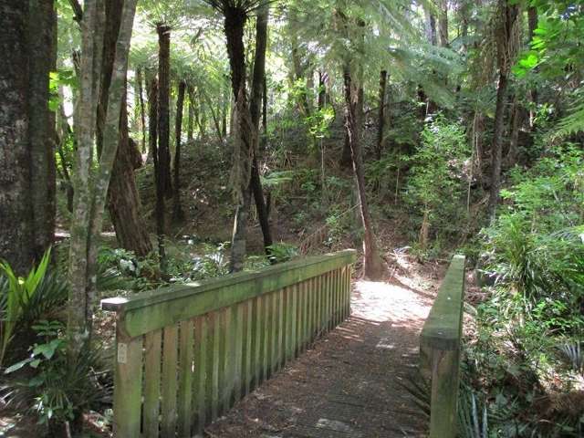 798 South Titirangi Road Titirangi_2