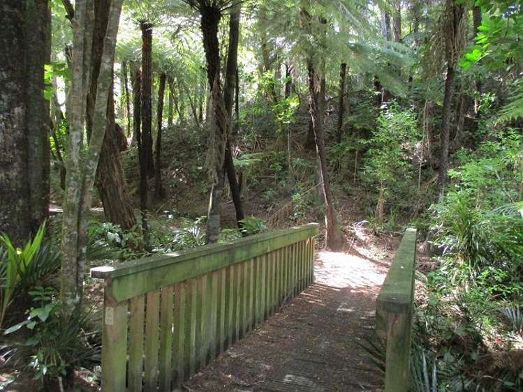 798 South Titirangi Road Titirangi_2