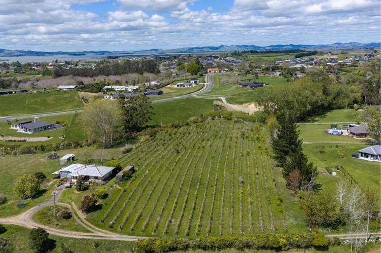 62a and 62b Orchard Road Te Kauwhata_2