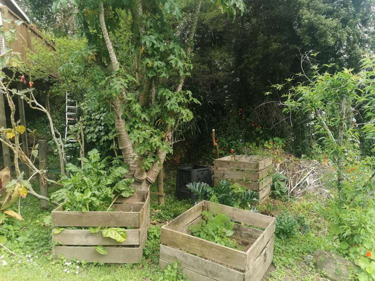 12 Pohue Creek Road Waiomu_14