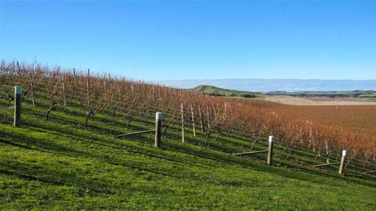 Tetley Brook Road Seddon_12