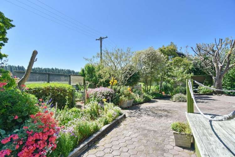 50 Grierson Avenue Amberley_17