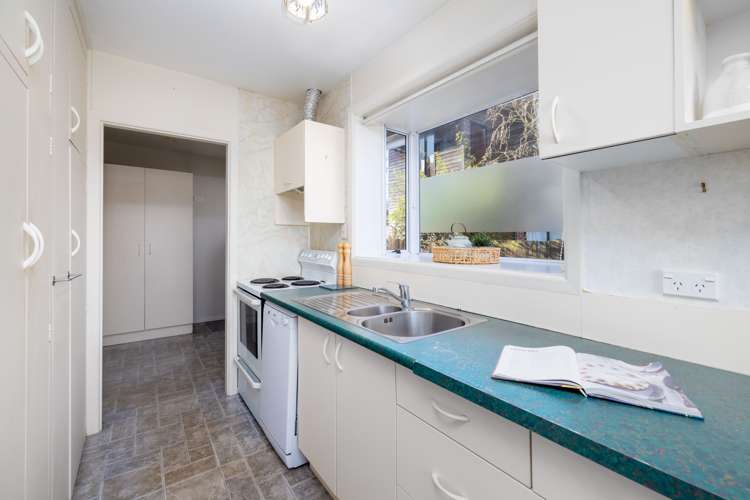 51 Wingate Street Redwood_5