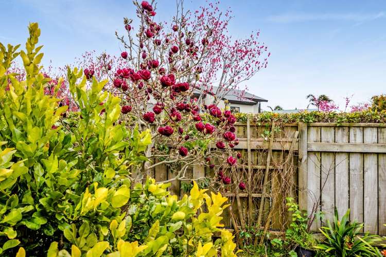 18 Kinross Drive Merrilands_24