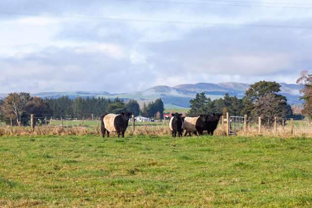 128 Waihakeke Road Carterton_1