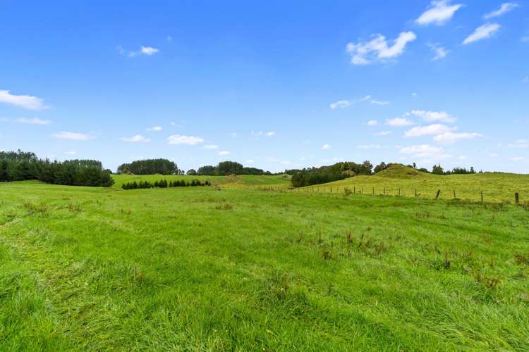 1161 State Highway 5 Hamurana_24