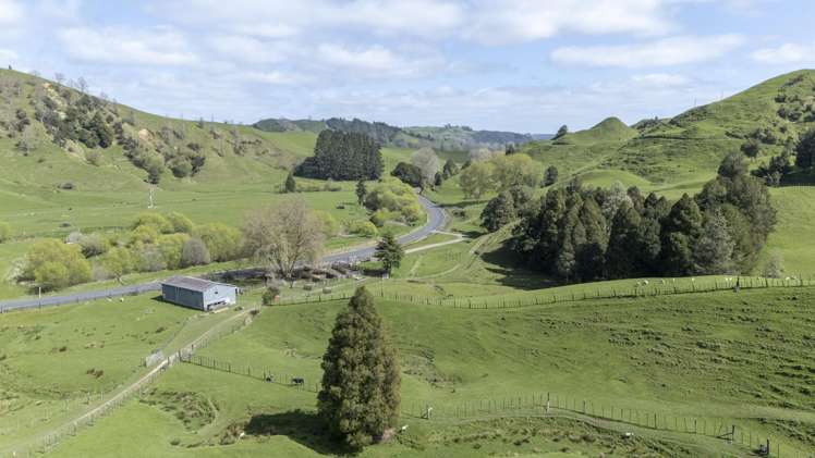 1211 State Highway 4 Te Kuiti_12