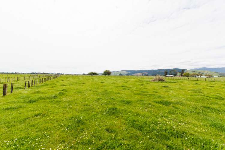 279 Tararua Road Levin Horowhenua Houses for Sale One Roof
