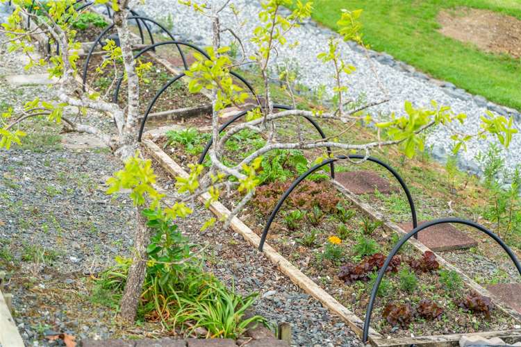 1612B Pakiri Road Whangaripo_22