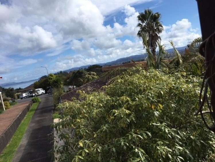 7 George Laurenson Lane Mount Roskill_0