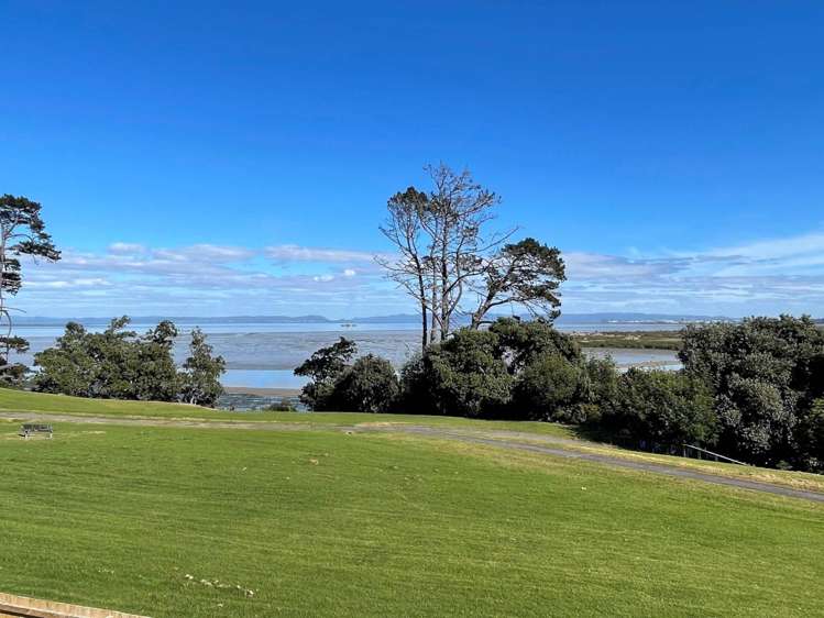 36 Pitt Avenue Clendon Park_28