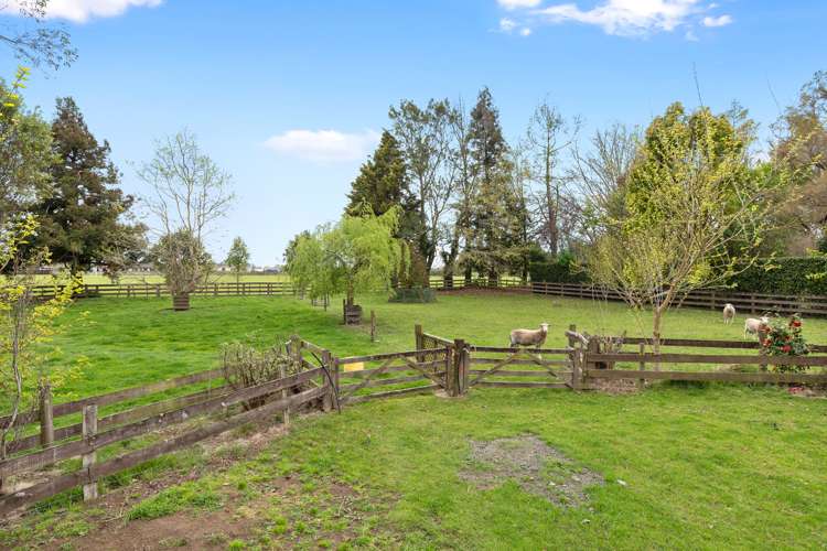 15 Riverview Lane Te Aroha_19