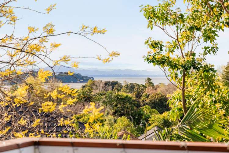 6 Richardson Road Omokoroa_14