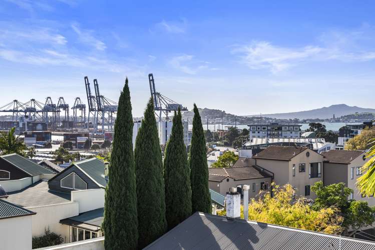 18 Bradford Street Parnell_24