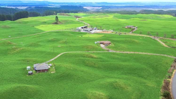 902 Galaxy Road Tokoroa_16