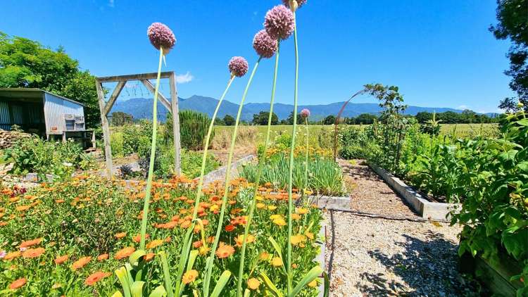 246 East Takaka Road East Takaka_28